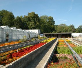 Poissy, une ville au patrimoine naturel riche et varié © Office de tourisme de Poissy